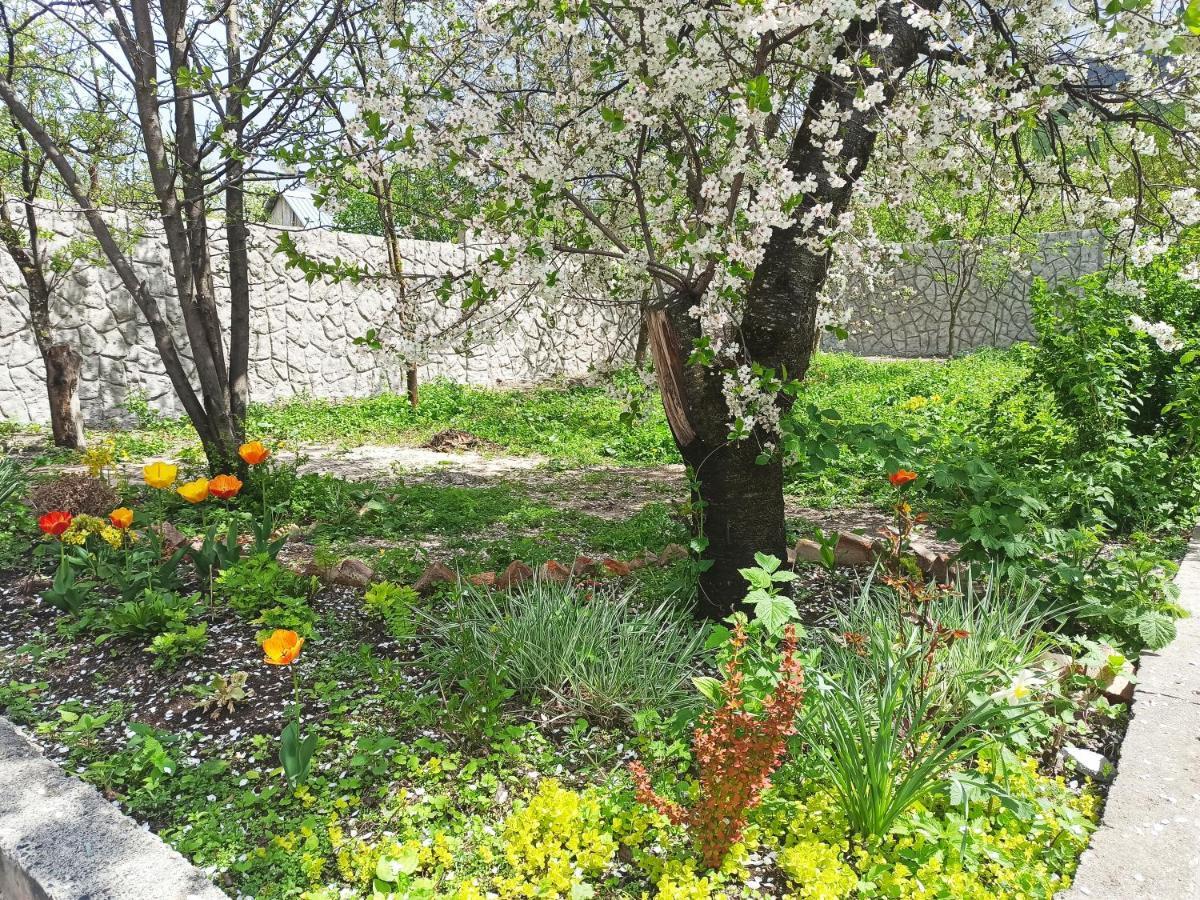 Jermatun Guest House Dilijan Esterno foto