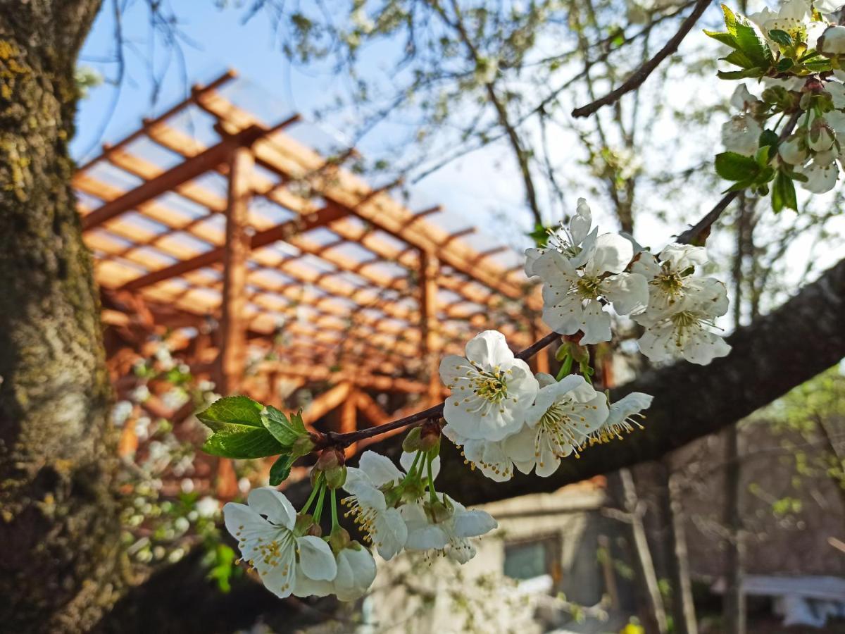 Jermatun Guest House Dilijan Esterno foto